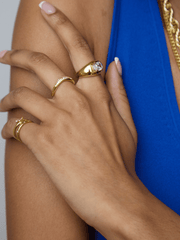The Solstice Ring