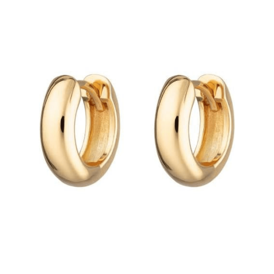 Two gold hoop earrings.