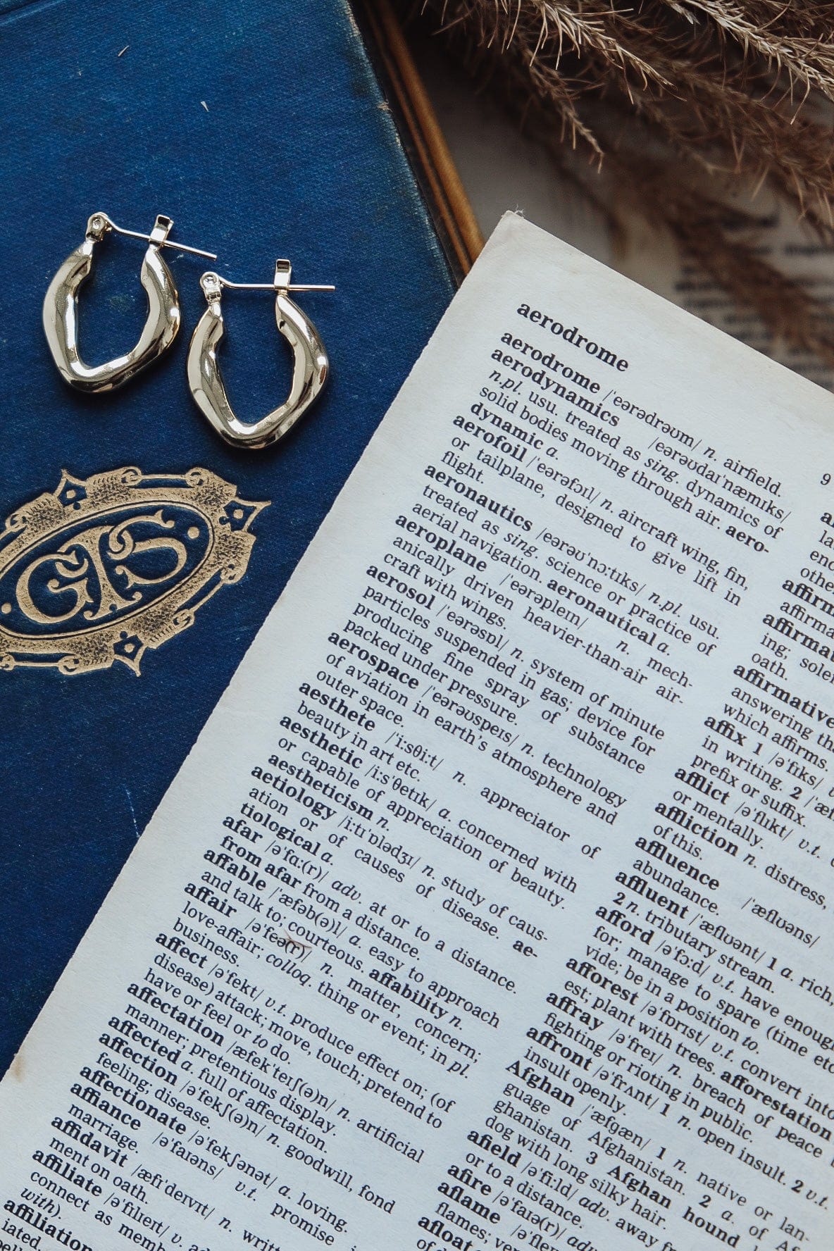 Chunky Melted Hoop silver earrings and a decorative emblem sit atop an open dictionary.