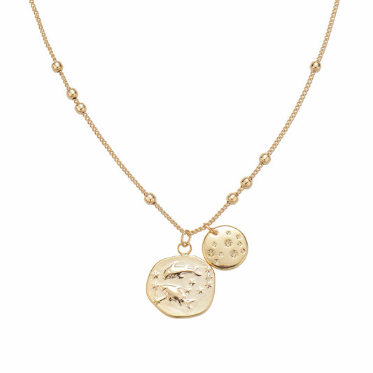 Pisces zodiac necklace