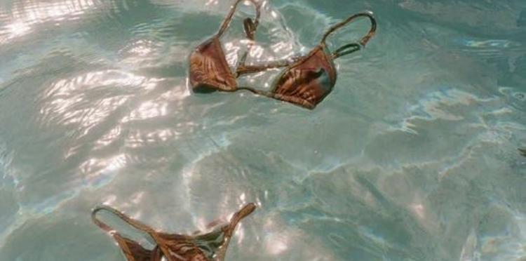 The Summer Society